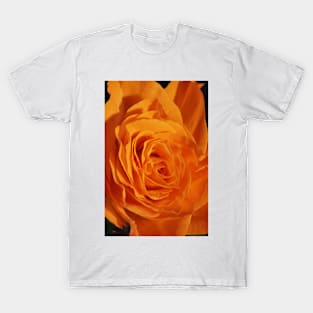 Orange Rose Closeup T-Shirt